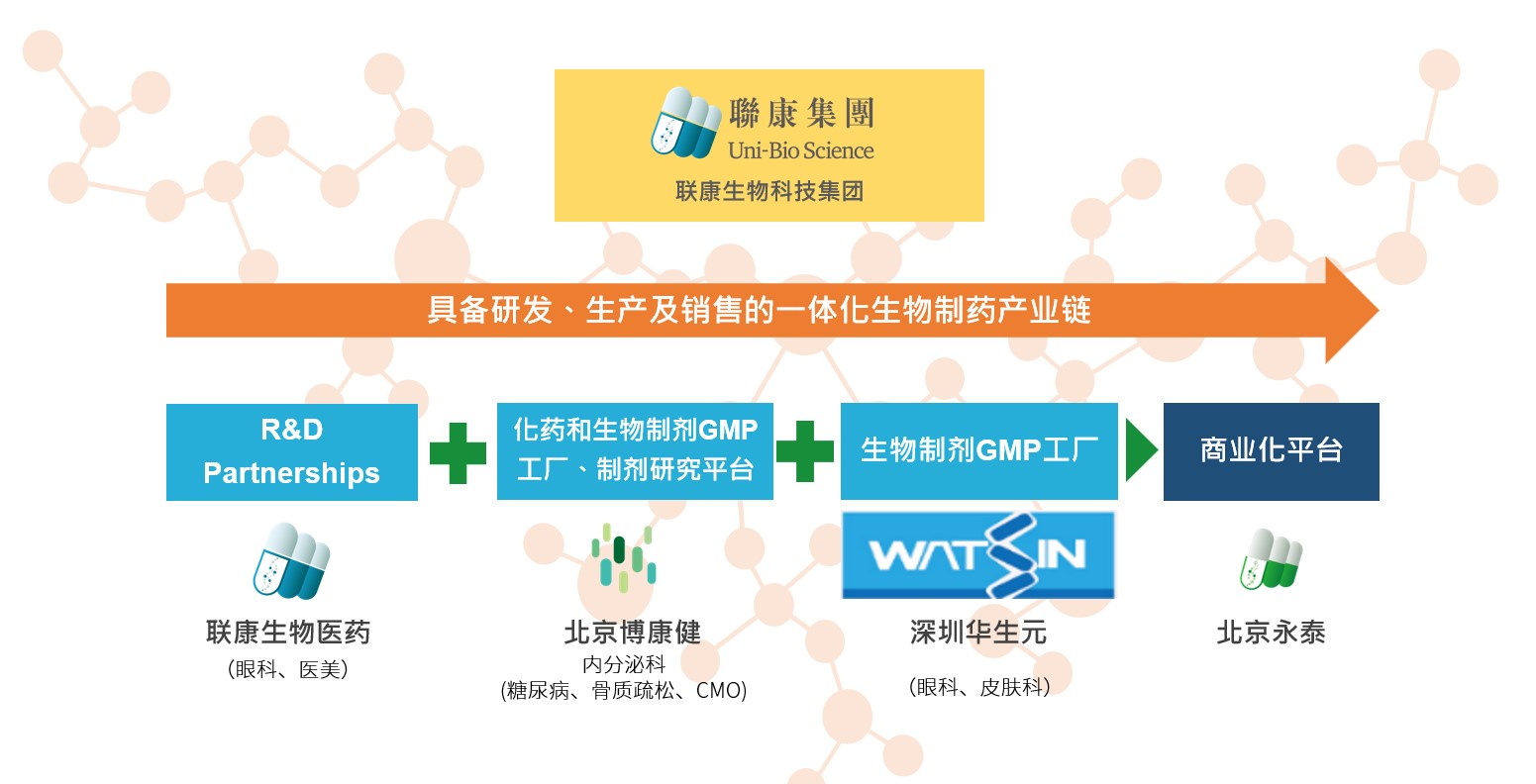 乐虎lehu国际生物科技集团组织架构